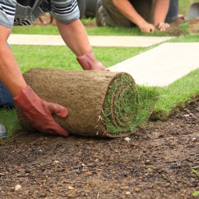 â Ray Turf Farms In Mead Wa Is A Sod Farm That Offers Sod Delivery And Installation