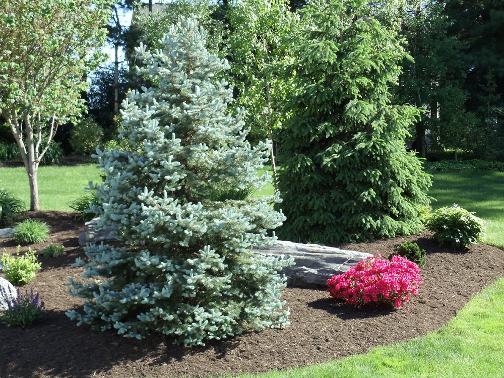 Next To Nature Landscape Better Business Bureau Profile