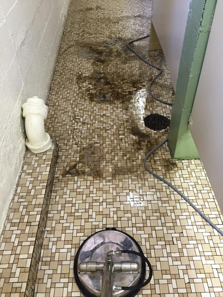 Carpet, Tile & Upholstery Cleaning Gallery Fort Wayne,, IN Encore