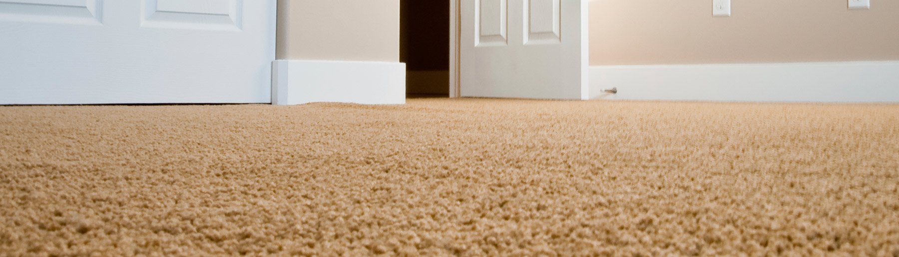 Carpet Cleaning Company in Charleston, SC AAA Carpet Care