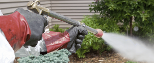 southern pest control southern pest control