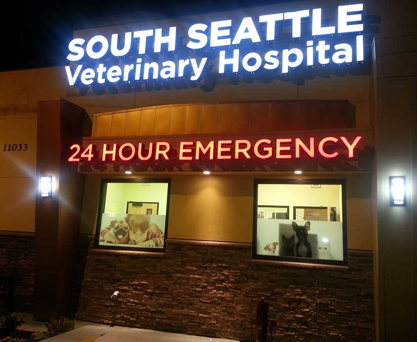 hospitaltour Seattle, WA Seattle Emergency Veterinary Hospital