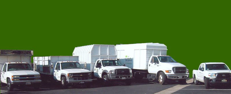 Sam's Tree Service & Landscaping