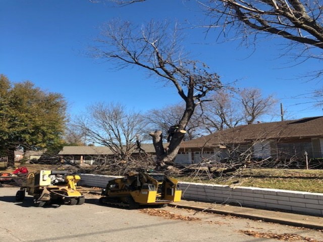 tree trimming tulsa pruning tree in claremore ok trimming tulsa all pro service tree trimming tulsa pruning tree in claremore ok trimming tulsa all pro service