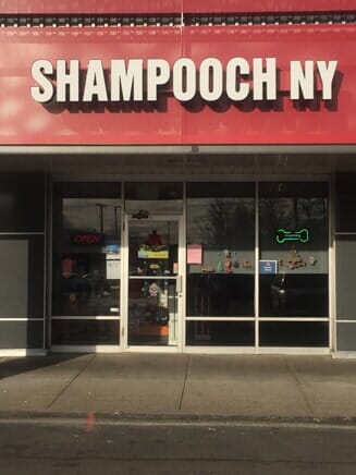 average cost of buying a dog