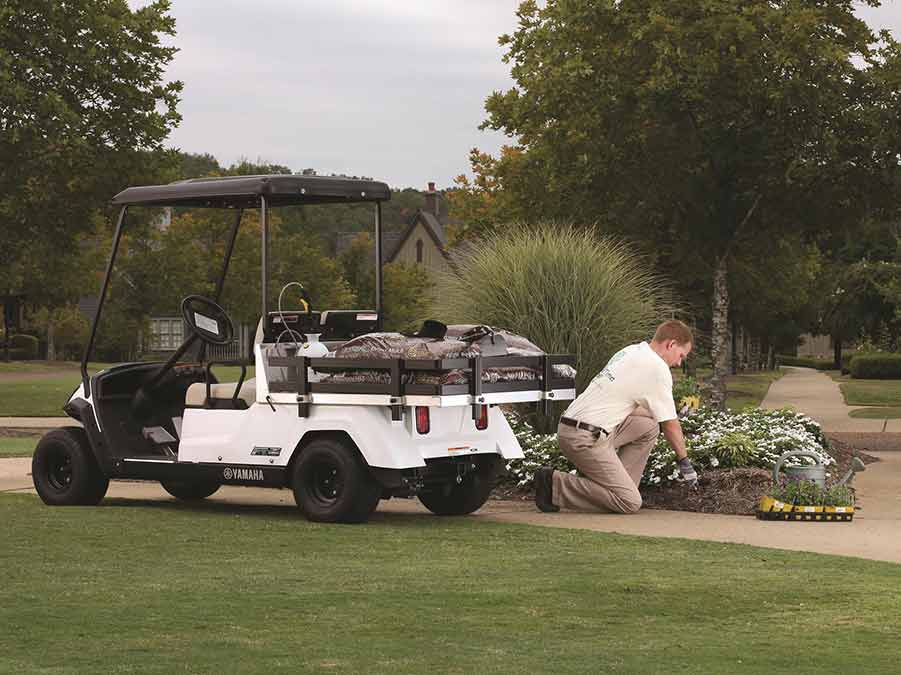Golf Carts For Sale Reno, Nevada Sierra Golf Carts & Auto