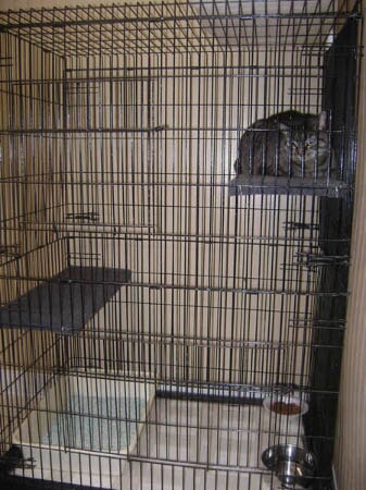 Musbro Kennels Ranch House Inc