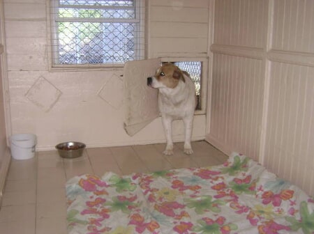 Musbro Kennels Ranch House Inc