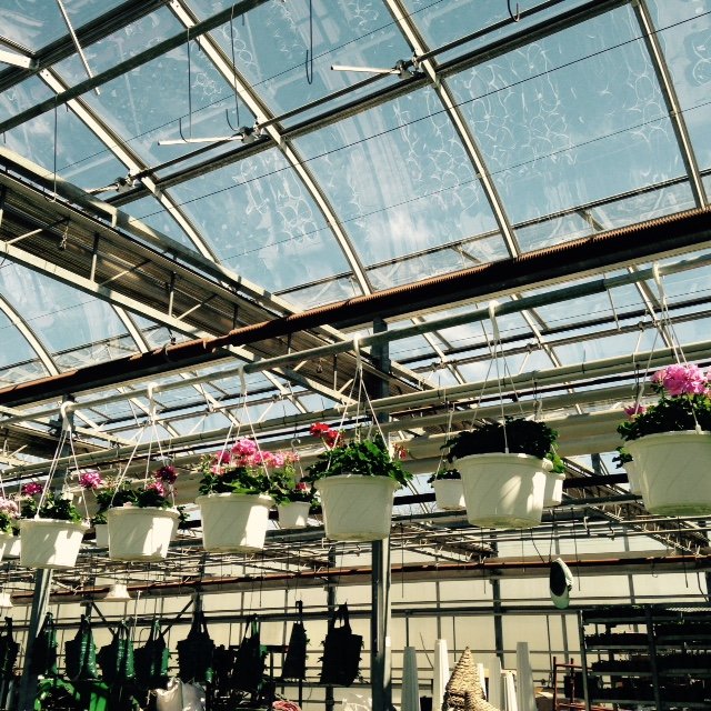 Greenhouse Robbinsville, NJ A&M Garden Center and Farm Market